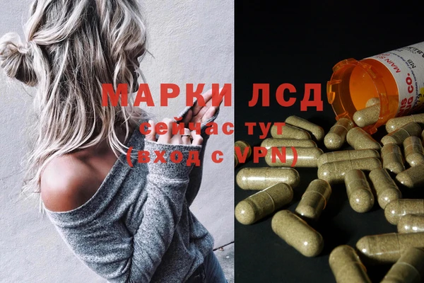 эйфоретик Аркадак